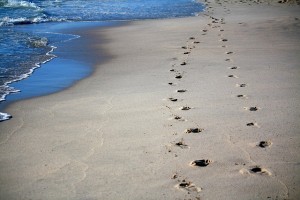 footsteps
